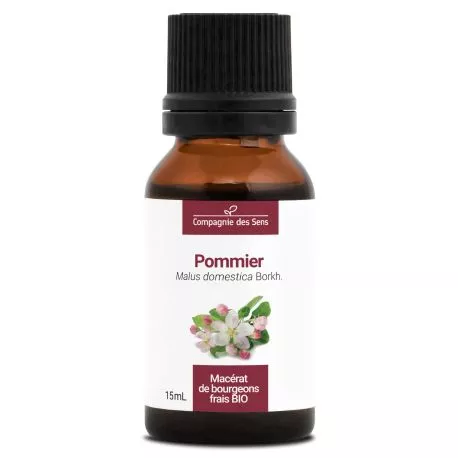 herboristerie-dufayel2408638