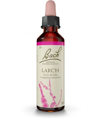 herboristerie-dufayel2409887