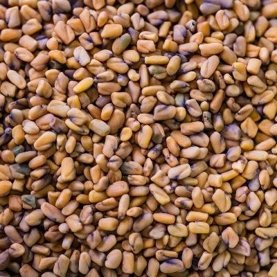 herboristerie-dufayel2415156