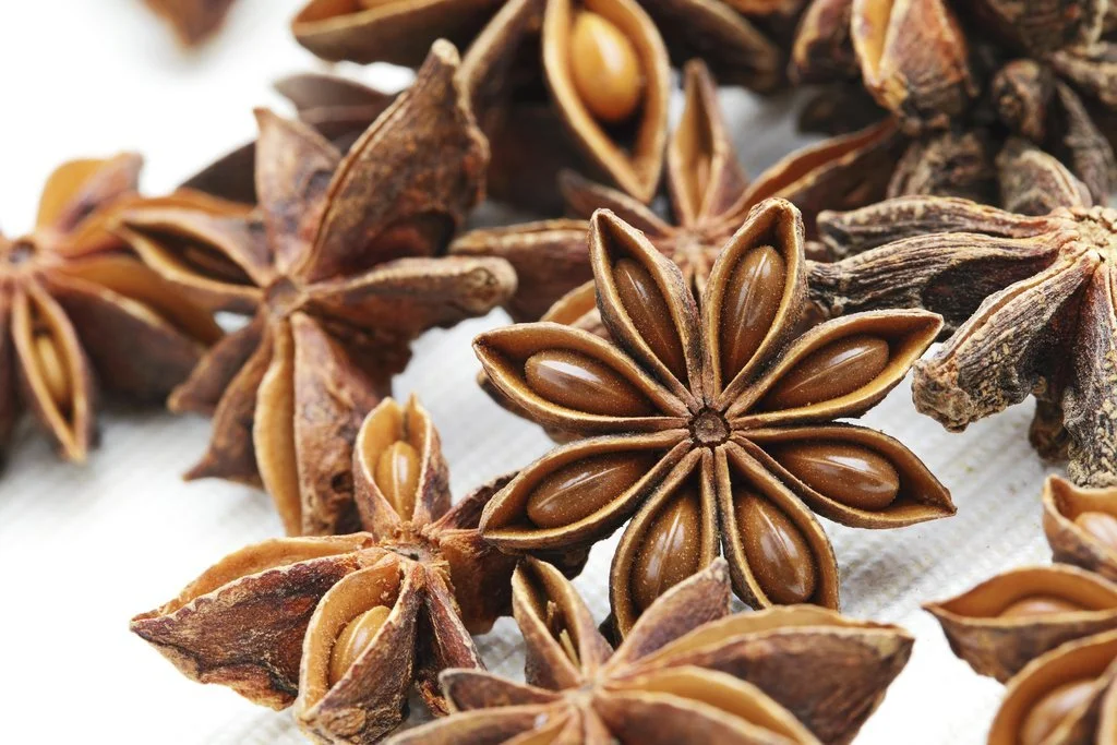 herboristerie-dufayel2415444