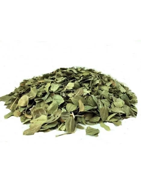 herboristerie-dufayel2416205