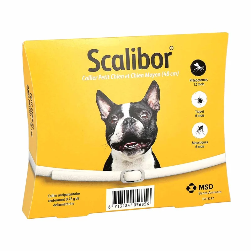 lapharmaciedepierre447453