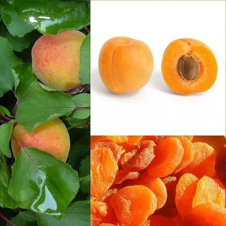 legrenierdubienetre2394830