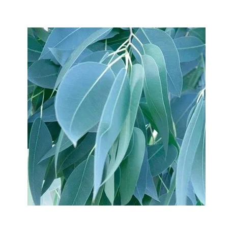 legrenierdubienetre2394901