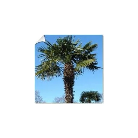 legrenierdubienetre2396409