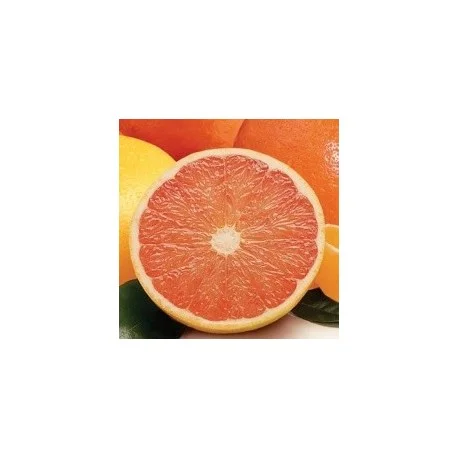 legrenierdubienetre2396876