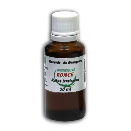 legrenierdubienetre2397966