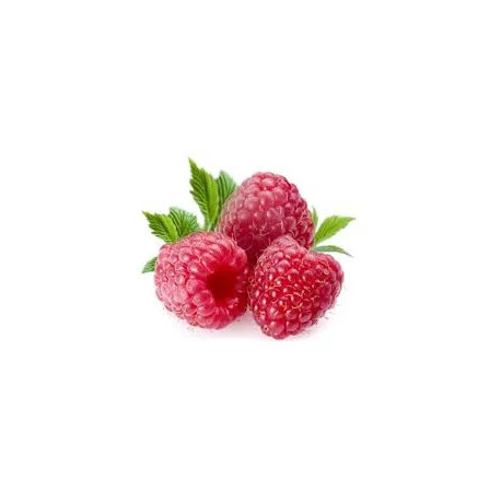 legrenierdubienetre2399562