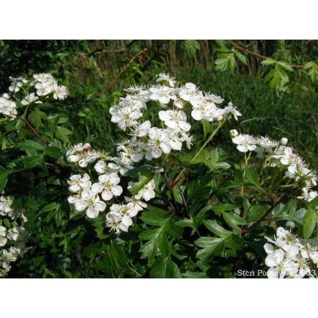 legrenierdubienetre2399600