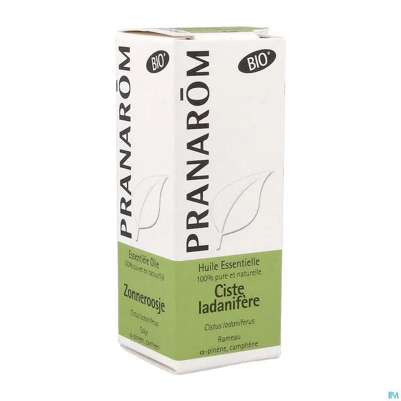 paramax374002