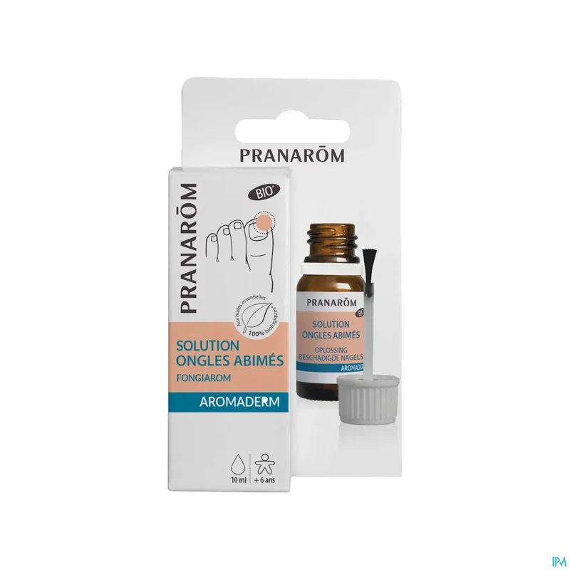 paramax385203