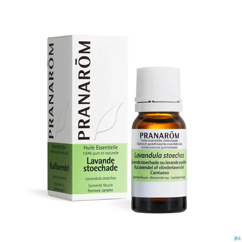 paramax428007
