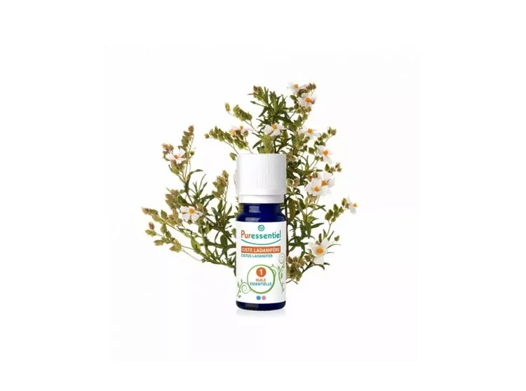 pharmaciepolygone429126