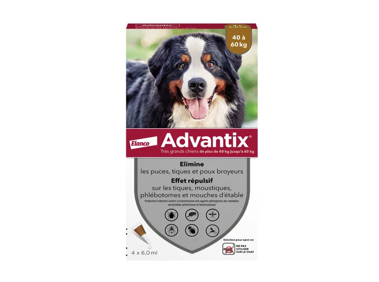 pharmaciepolygone446039