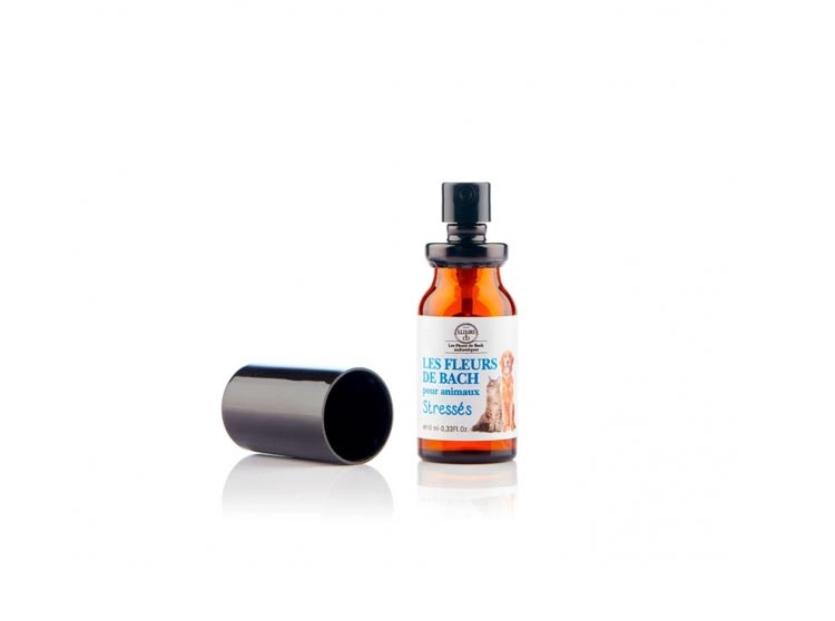 pharmaciepolygone639389