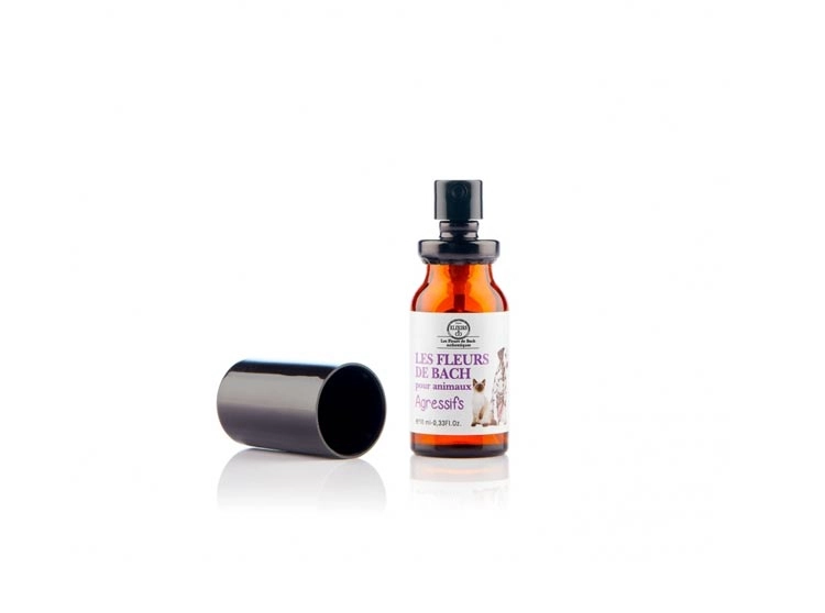 pharmaciepolygone639399