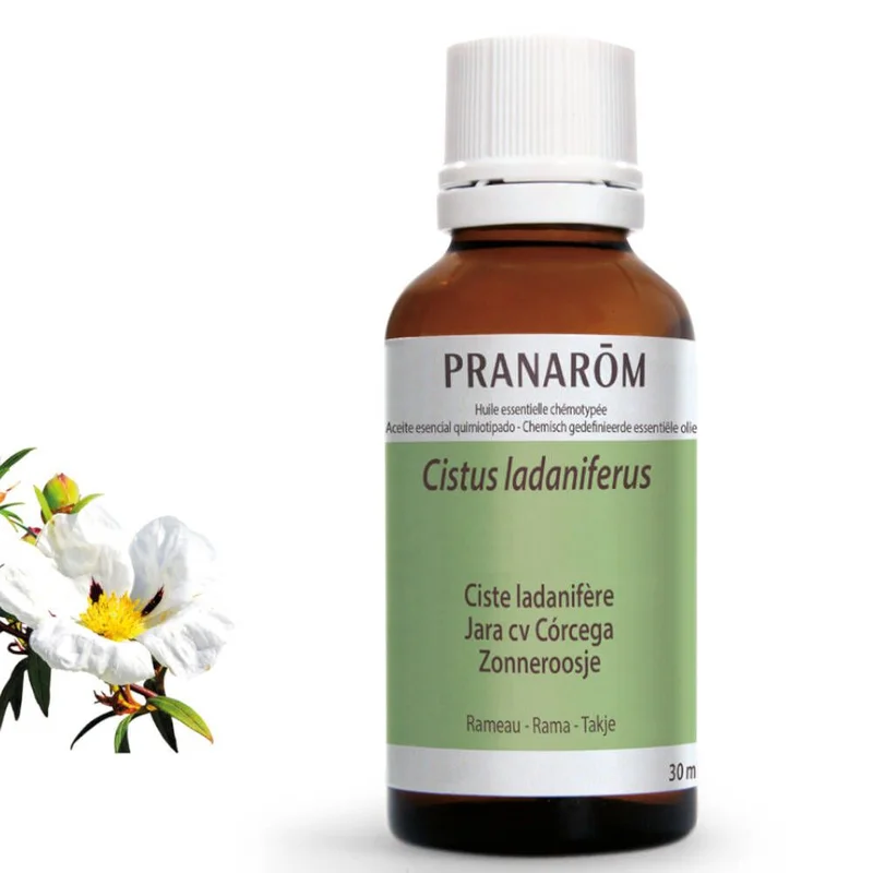 redcare-pharmacie325357