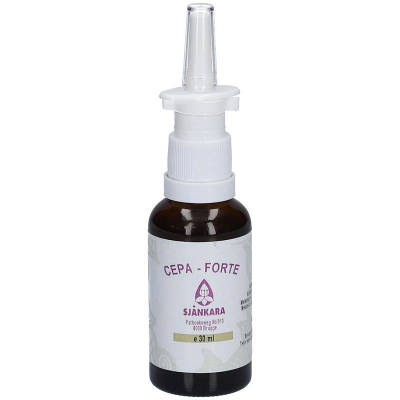 redcare-pharmacie678566