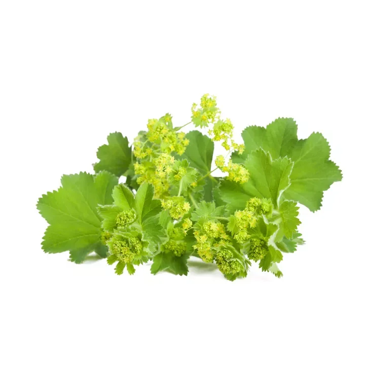 soin-et-nature325991