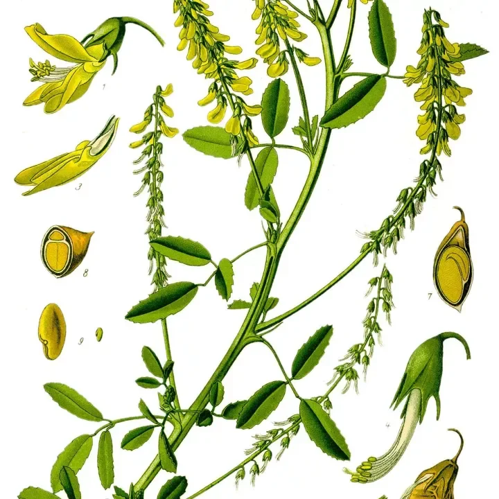 soin-et-nature326379