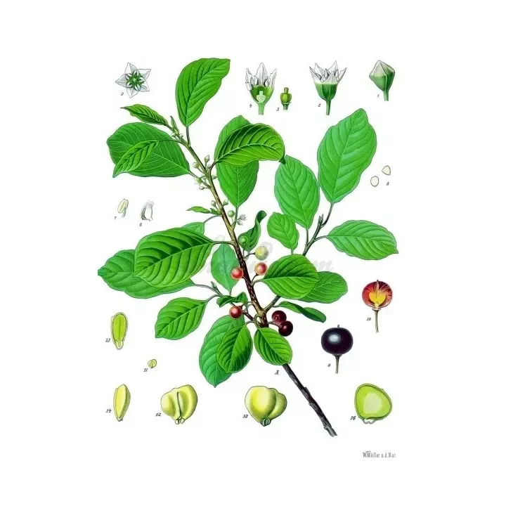 soin-et-nature327911