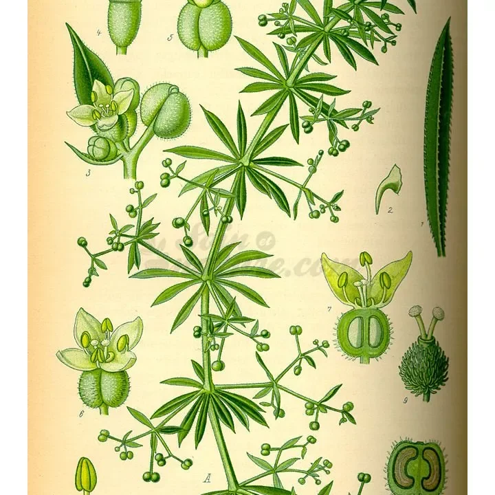 soin-et-nature328175