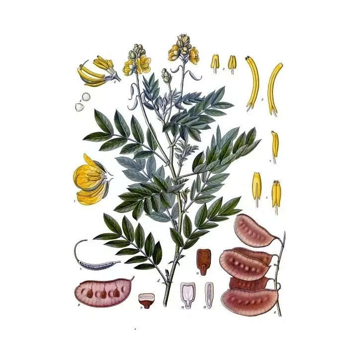 soin-et-nature329225