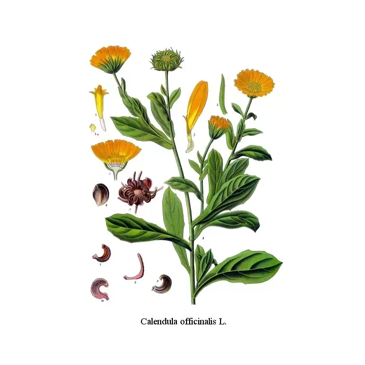 soin-et-nature329276