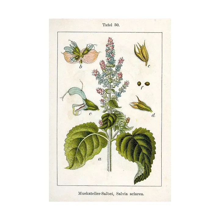 soin-et-nature366233